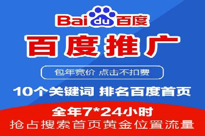 竞价广告的投放策略调整：基于数据反馈的实战案例